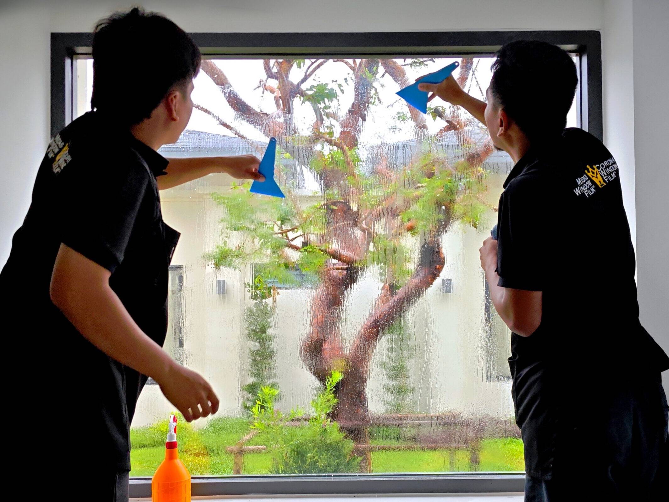 Architectural / Residential Window Film